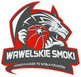 TS Wisła Platinium Kraków