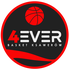 Basket 4Ever Geocover Ksawerów