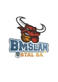 ORLEN Akademia Koszykówki BM Stal