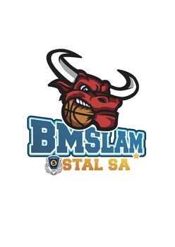 Akademia Koszykówki BM Stal Ostrów Wlkp.