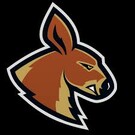 Kangoo Basket Gorzów Wielkopolski 