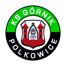 Górnik Polkowice
