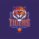 Akademia Koszykówki "Tigers"