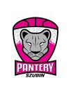 Pantery Szubin