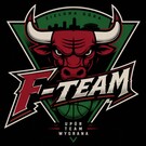 F-TEAM