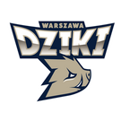 Dziki II Warszawa