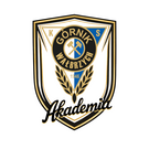 Akademia Koszykówki Górnik Zamek Książ Wałbrzych 