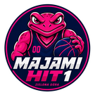 MAJAMI HIT I