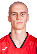 Marek Dragon